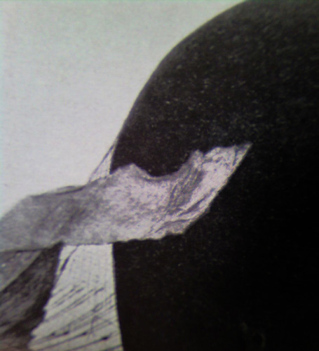 from darkness down, photograph of a failure