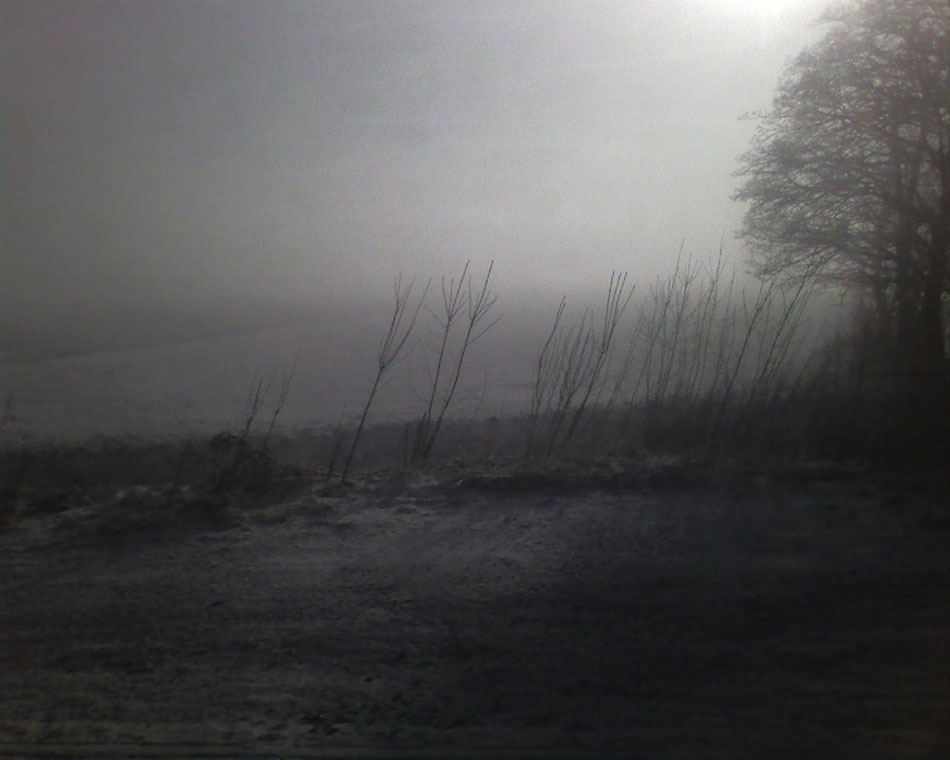 Landscape, SP_A8272