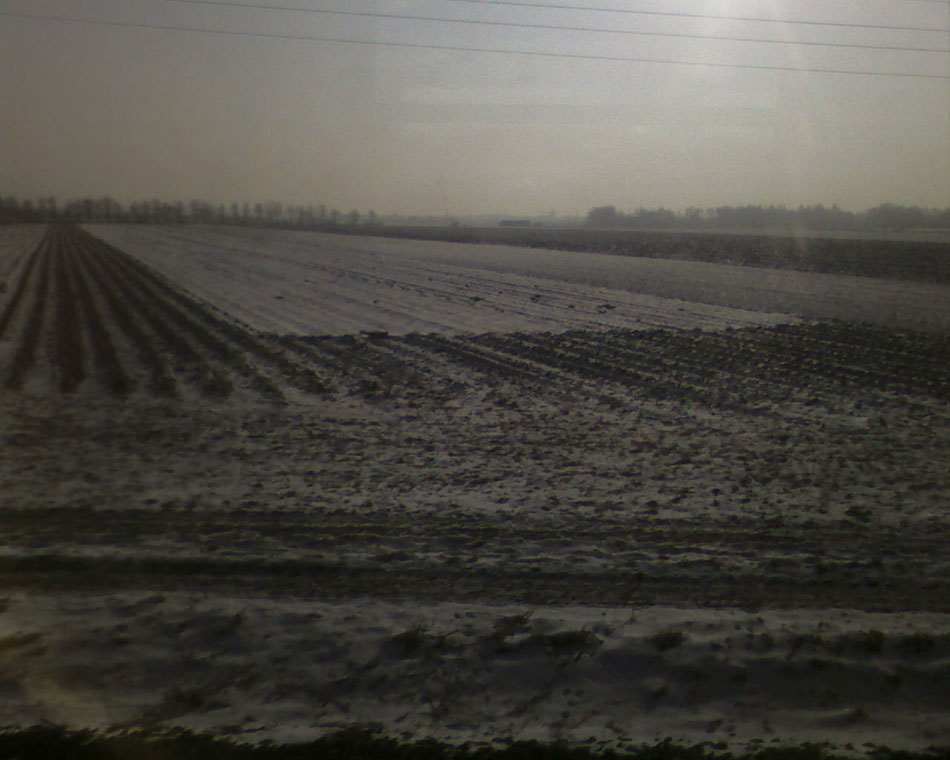 Landscape, SP_B0524
